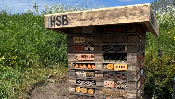 Plaatsing insectenhotel bij HSB